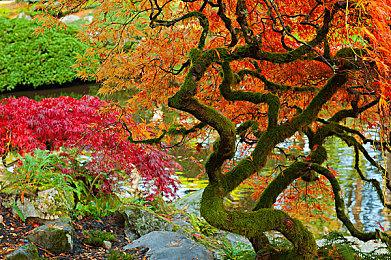 格格巫亮相《蓝精灵2：绿石之囚》游玩预告